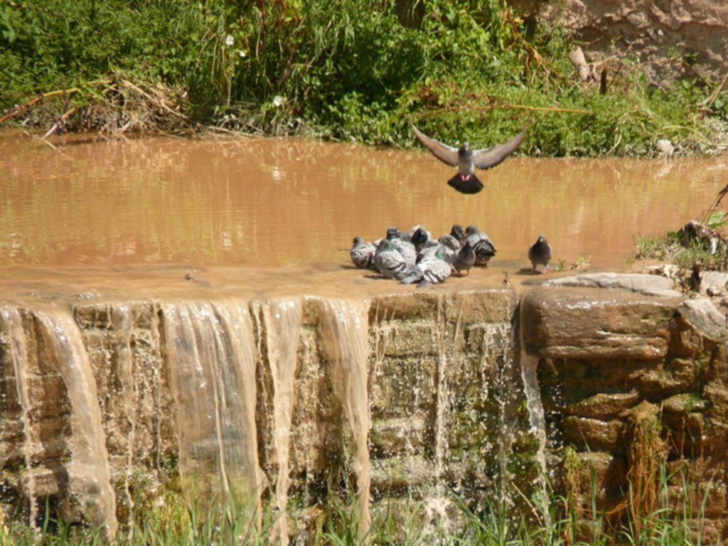 No s'ha trobat l'arxiu